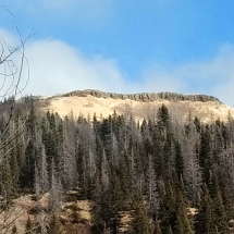 Osier Mountain Osier Mountain